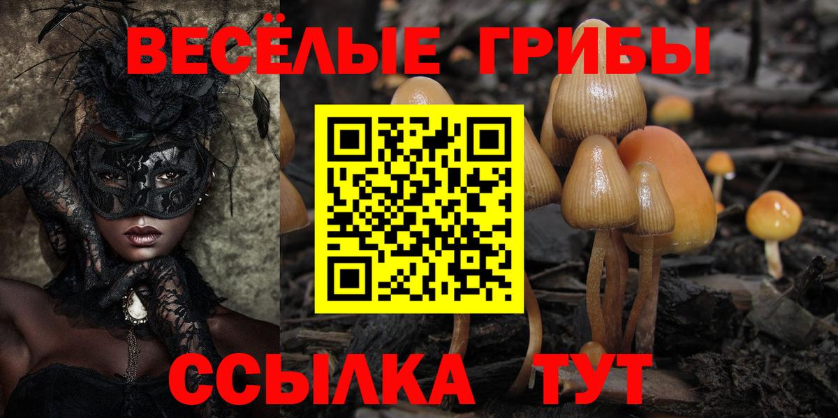 Галлюциногенные грибы Psilocybine cubensis  Вход с VPN  наркошоп  Дзержинский  Псилоцибиновые грибы MAGIC MUSHROOMS 
