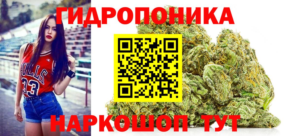 Конопля план  Бошки Шишки AK-47  Бошки марихуана конопля  Вход с VPN  Дзержинский  Конопля VHQ 